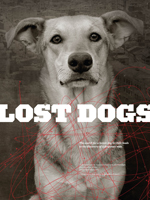 Lost Dogs
